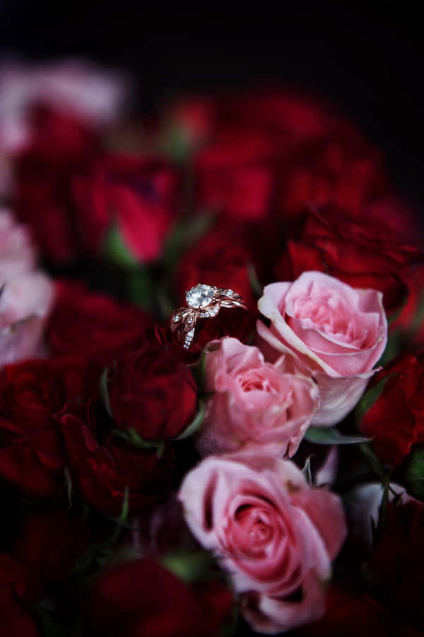 Romantisk Forlovelse Ring Roser Estetisk Valentinsdag Tapet
