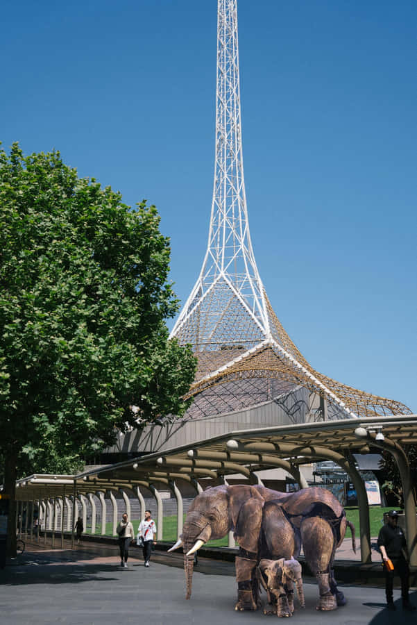Centro de Artes de Melbourne com Estátuas de Elefantes
