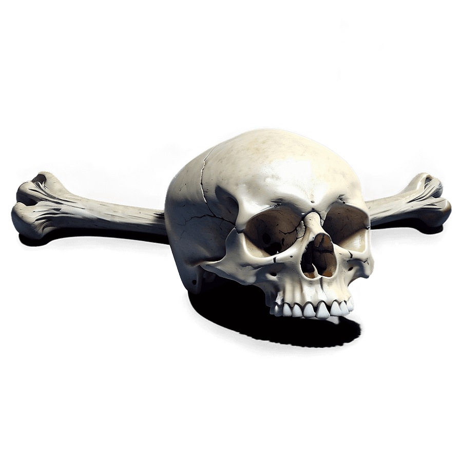 Macabre Skull and Bones PNG 40