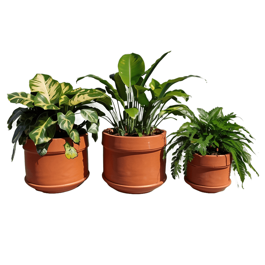 Round Planter Box PNG 30