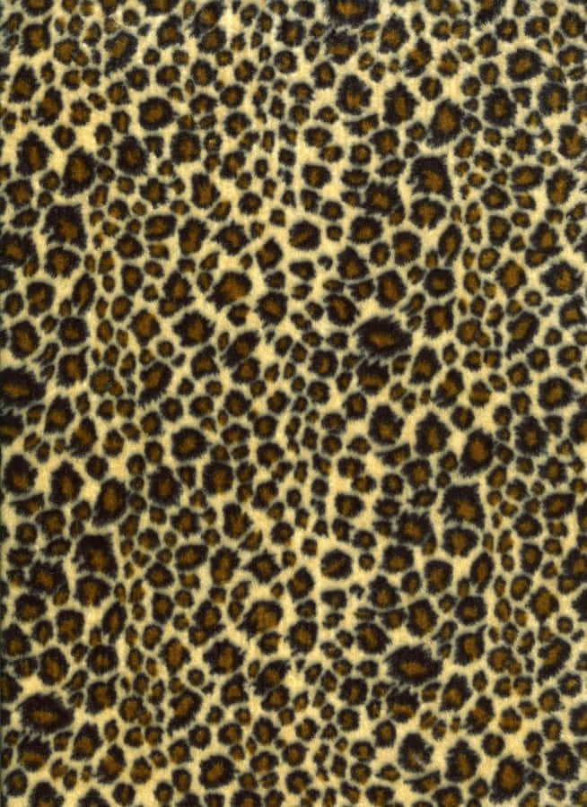 Leopard Pattern