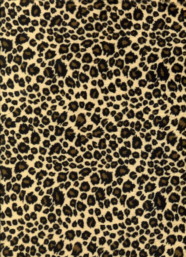 Leopard Pattern