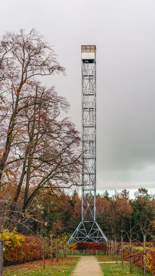 Torre de Observação Oosterhout no Outono