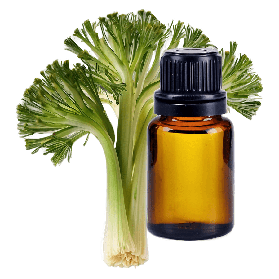Fennel Essential Oil PNG 67