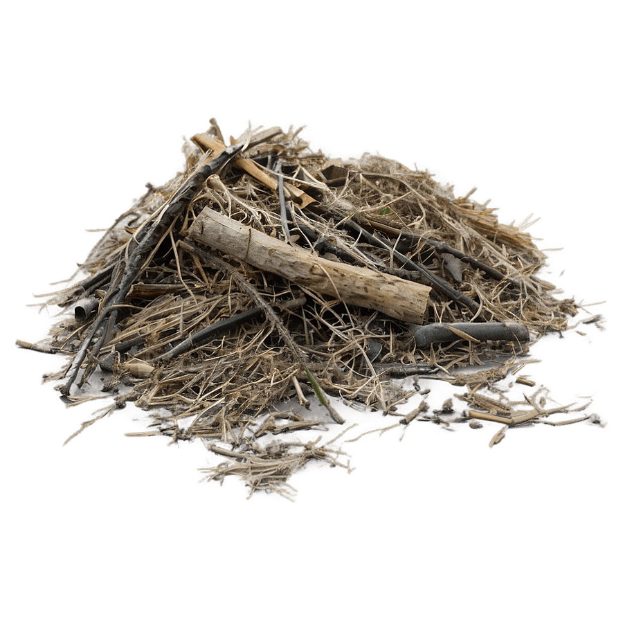 Landscape Debris PNG 05252024