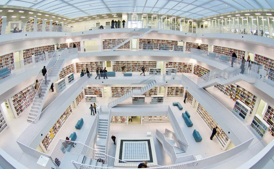 Library Background