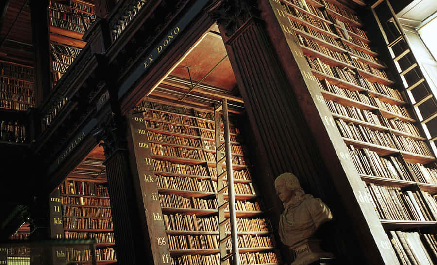 Stately Library Enclave Background