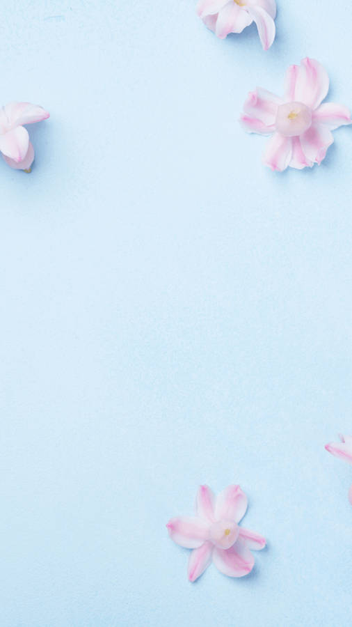 Download Light Blue Aesthetic Pink Flower Wallpaper Wallpapers Com