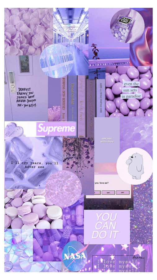Lilac Background