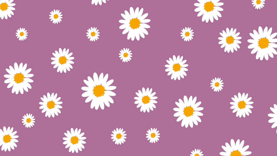 Lilla Daisy Mønster Bakgrunn