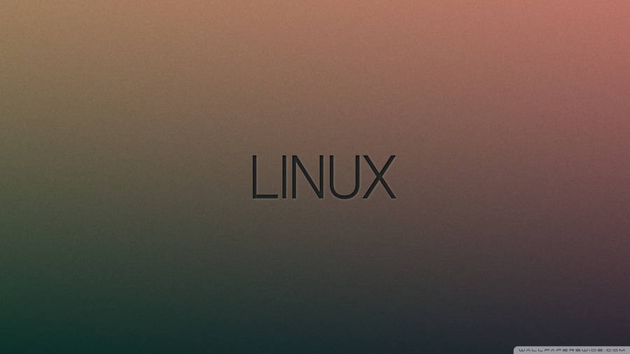 Linux text in gradient orange background wallpaper.