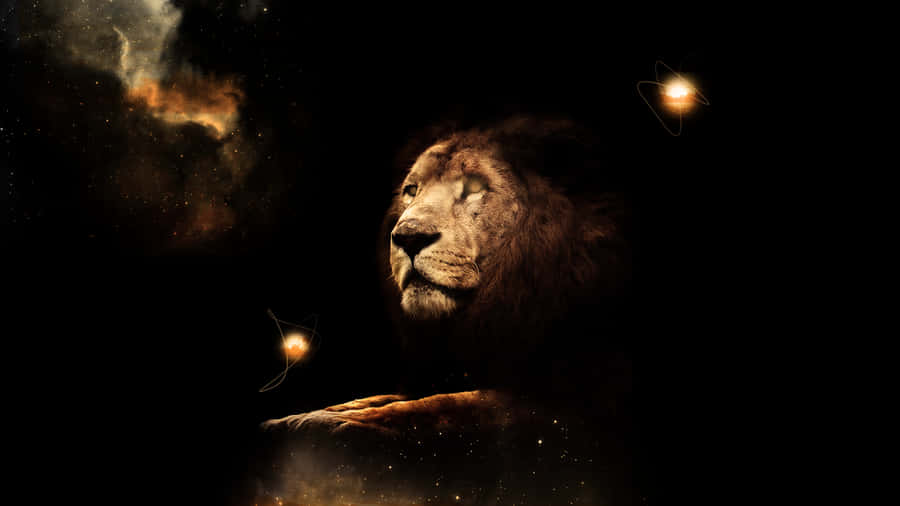 Lion background