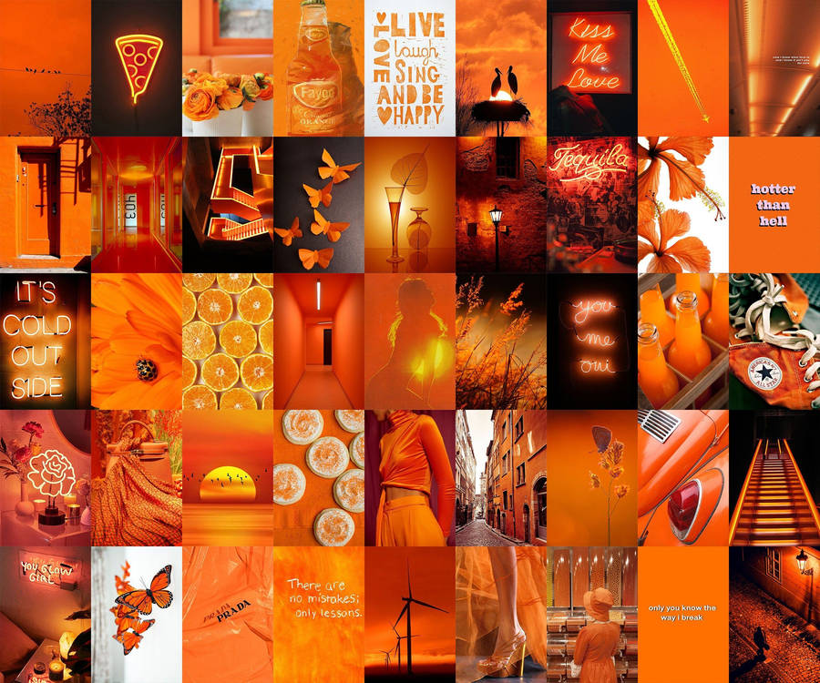 Download Lovely Neon Orange Collage Wallpaper Wallpapers Com