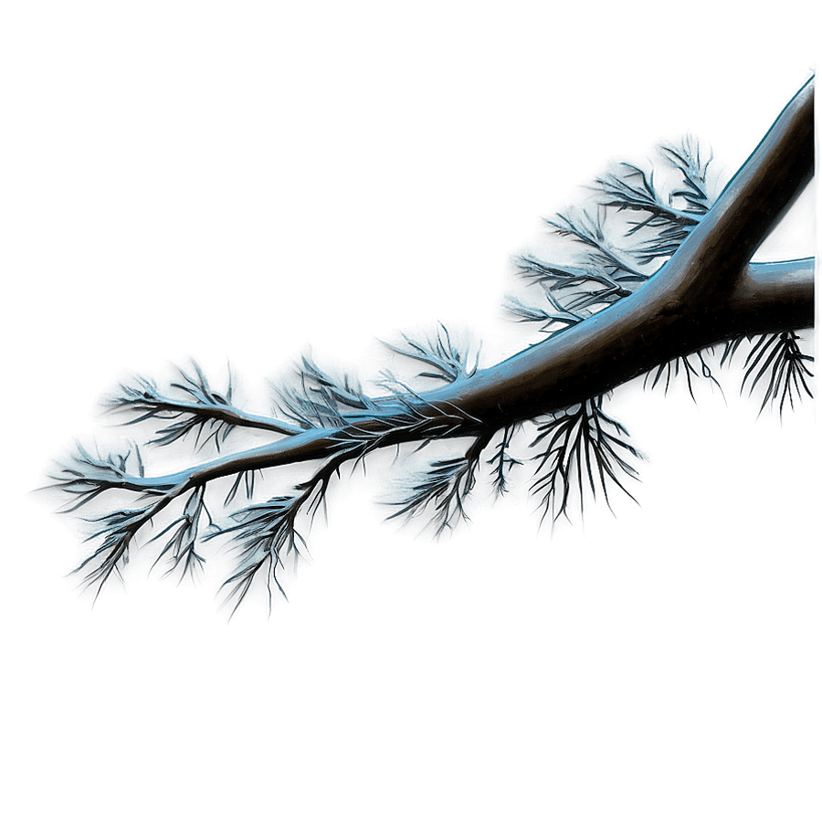 Tree Branches at Night PNG 46
