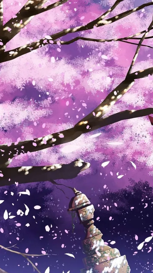 Sakura Background