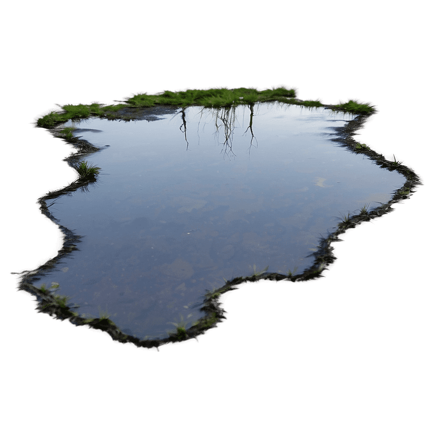 Puddle After Rain PNG 21