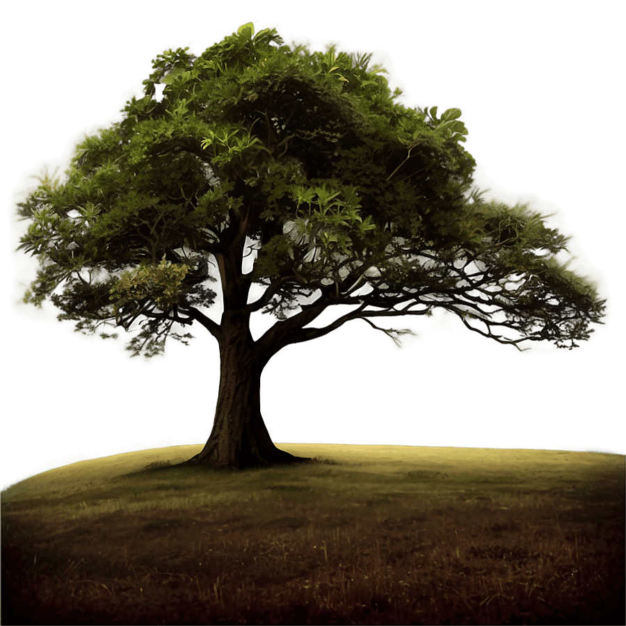 One Tree Hill Twilight Scene PNG axf88