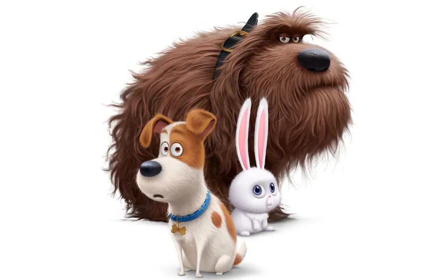 pets background