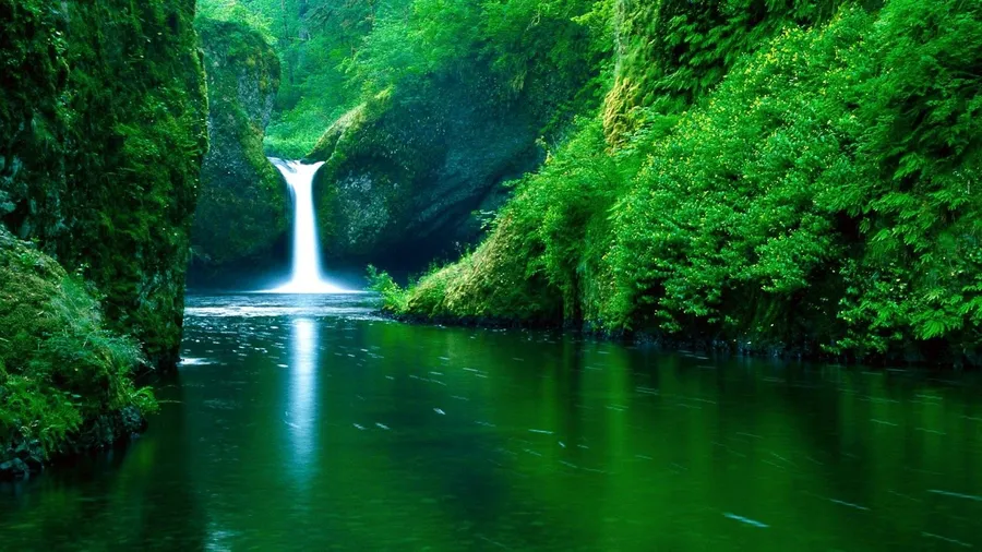 Beautiful wallpaper of live waterfall. 