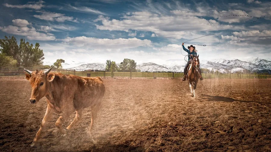 Rodeo