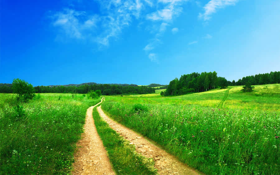 GrüneLandschaft 2560 x 1600 Hintergrundbild.