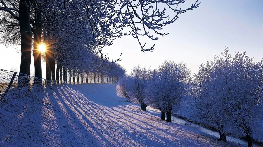 Hd Winter Background
