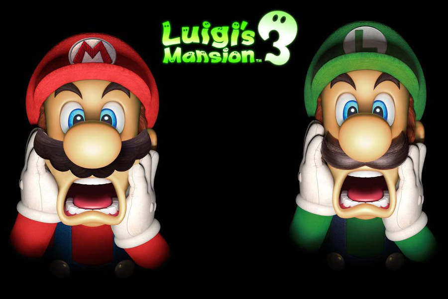 Download Luigi's Mansion 3 Luigi And Mario Shocked Faces Wallpaper ...