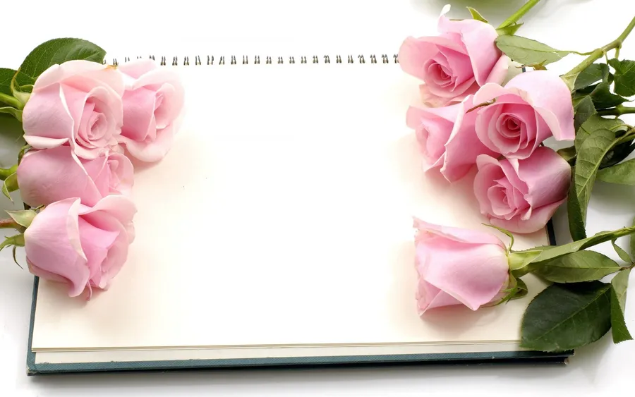 Pink Roses Background