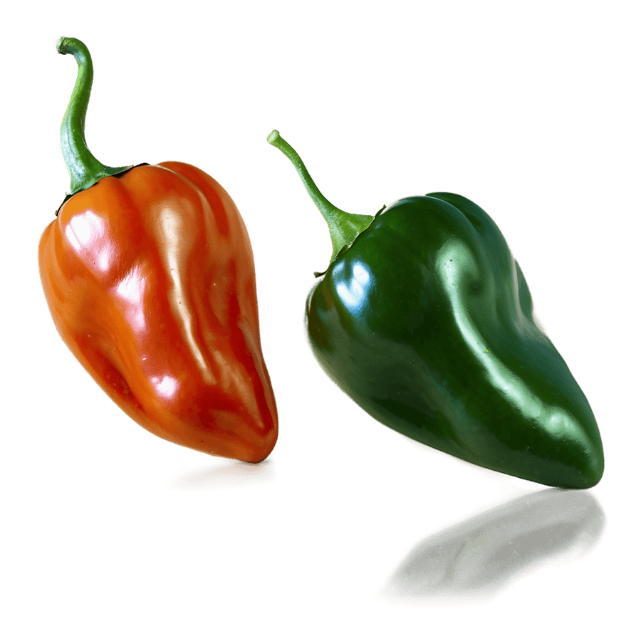 Habanero Pepper Harvest PNG roa