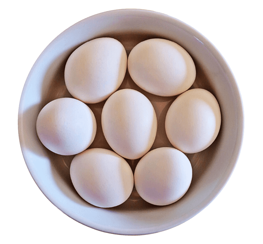 White Eggsin Bowl