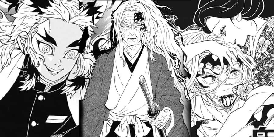 Demon Slayer Manga Charaktere Collage