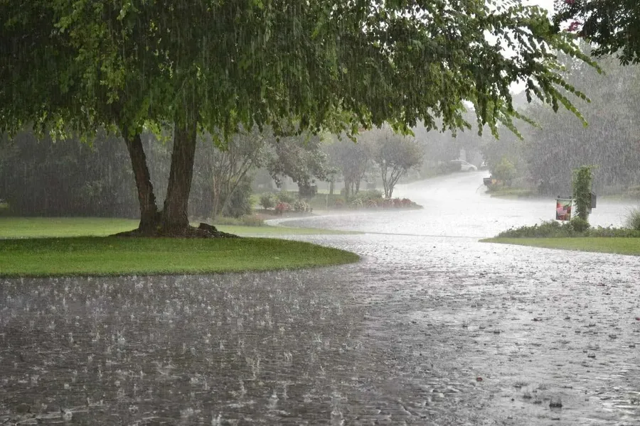 Raining pictures