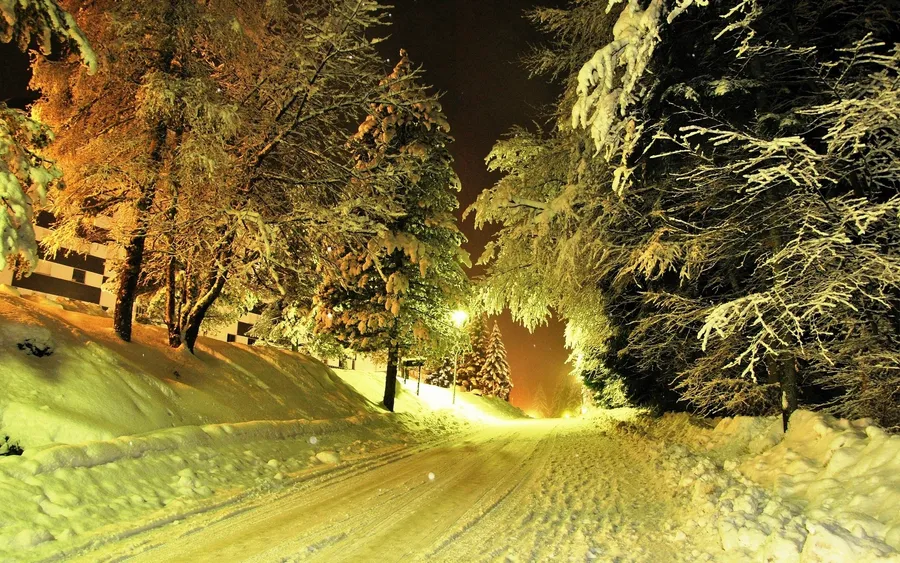 Snowfall