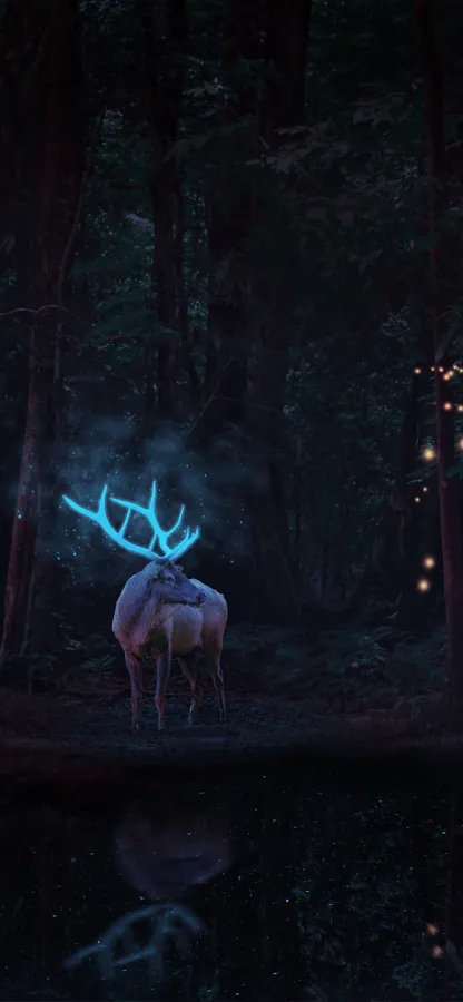 Deer Iphone
