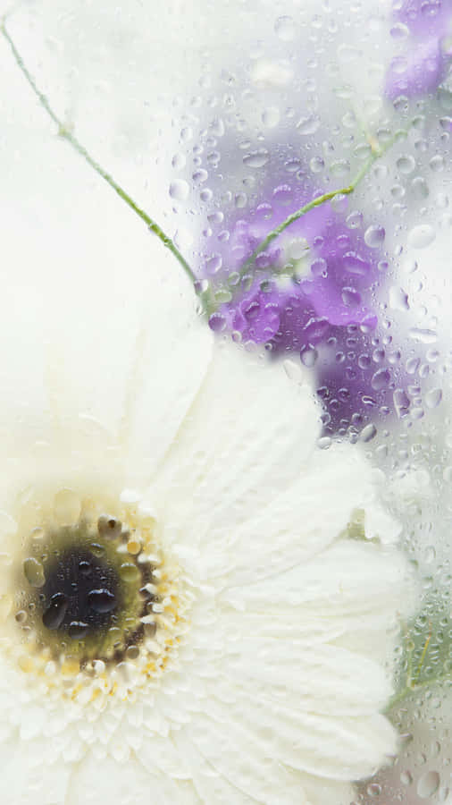 Arte Floral com Condensação