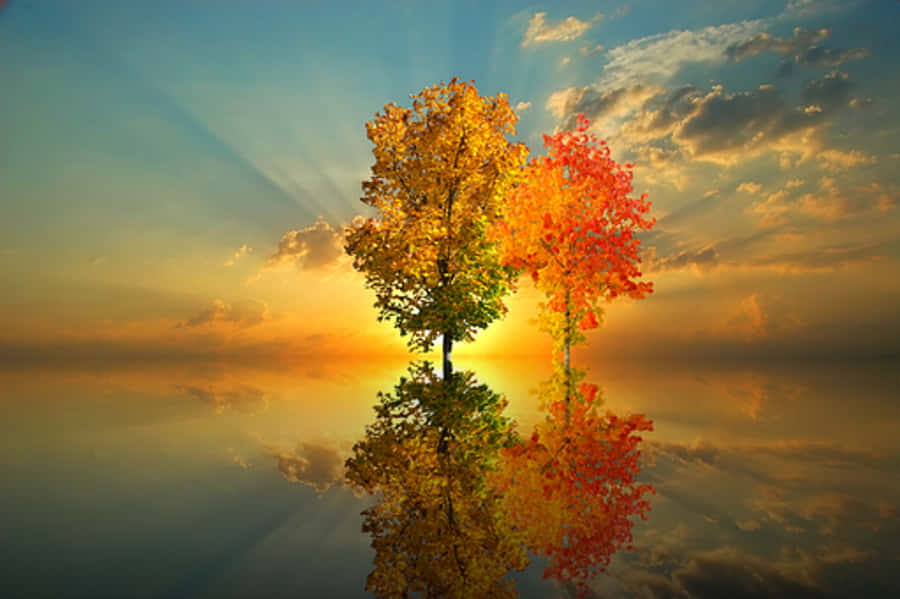 Autumn Reflection Sunset