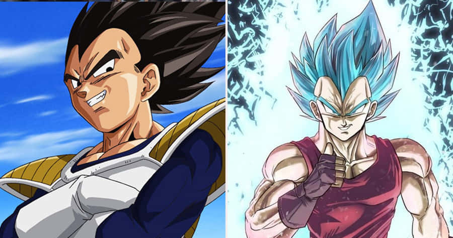 Vegetaog Frieza 1710 x 900 baggrundsbillede