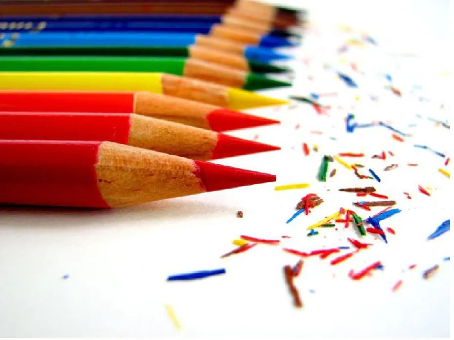 Education Background