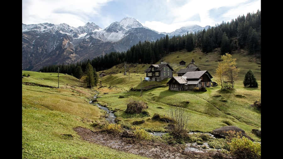 Casas em Prados Alpinos Winterthur