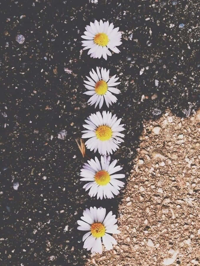 IndieFlower [tapet]