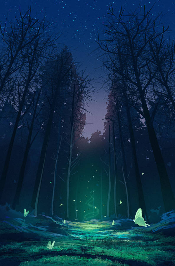 Magic Light In The Forest wallpaper