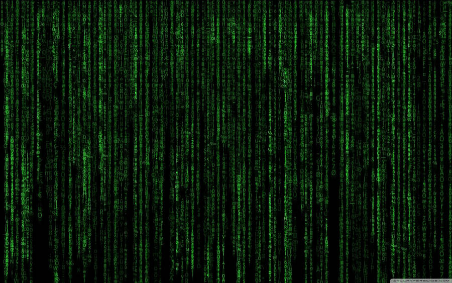 Overlapping neon green matrix codes on black screen wallpaper