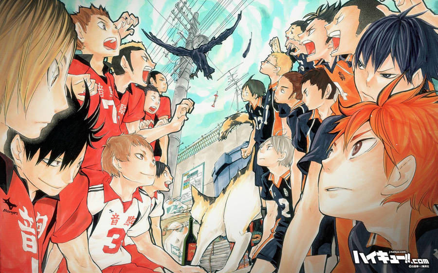 Haikyuu4K Karasuno Face-off Nekoma translates to "Haikyuu 4K Karasuno Face-Off Nekoma" in Swedish. Since this is a technical description of a computer or mobile wallpaper, there is no need to translate the words into Swedish, as they are already in English and commonly used in the Swedish language.