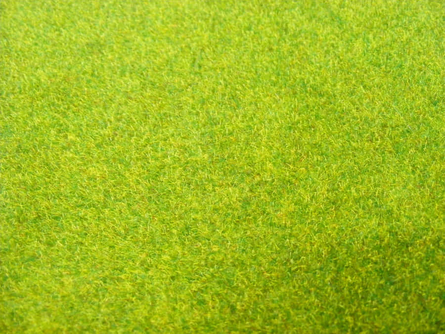 Nahaufnahmevon grüner Grasstruktur