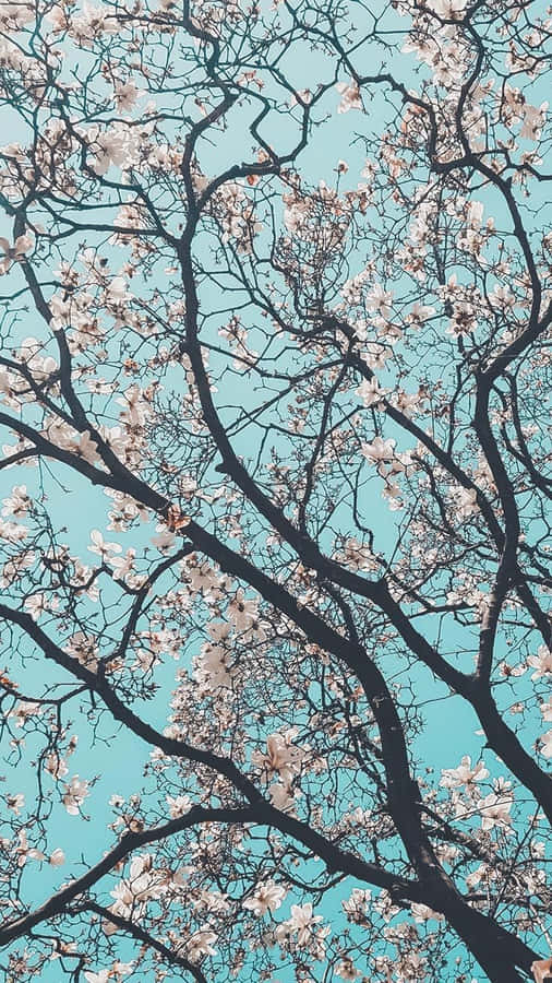 Vårblommor Mot Blå Himmel