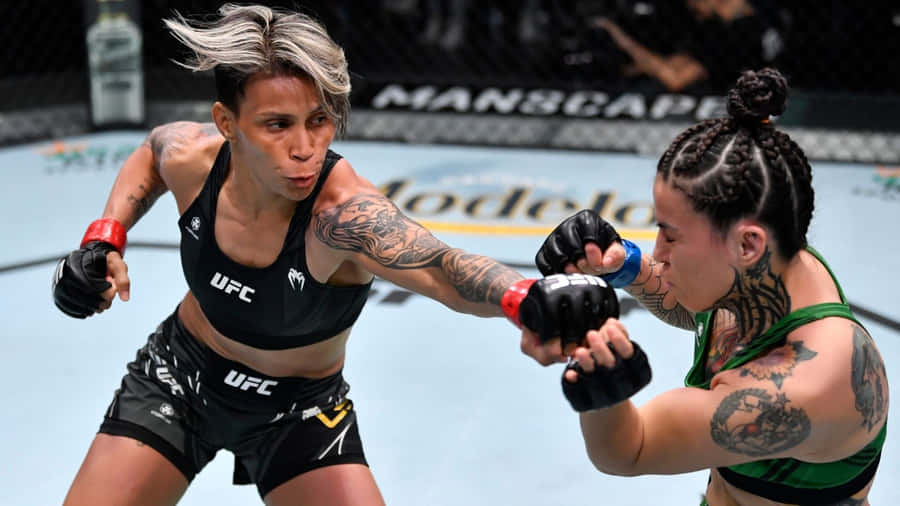 U F C Kämpfer im Kampf