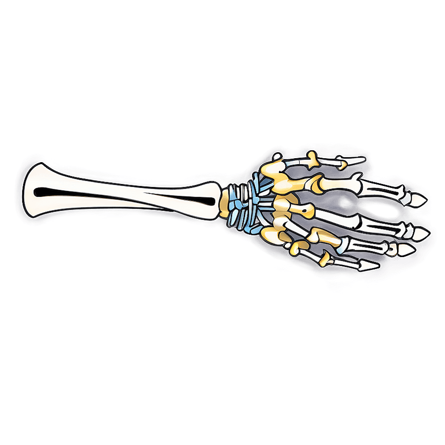 Skeleton Arm Illustration PNG 59