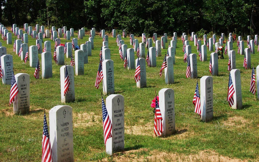 Download Memorial Day Flags On Graves Wallpaper | Wallpapers.com