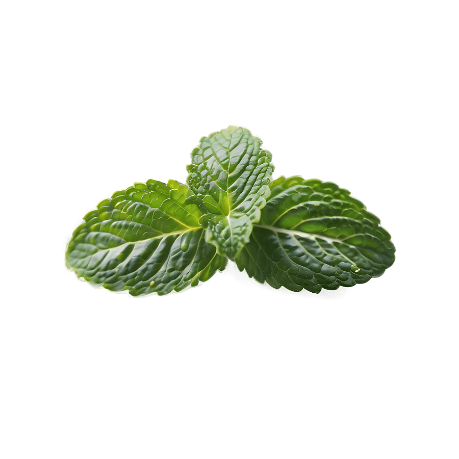 mint c