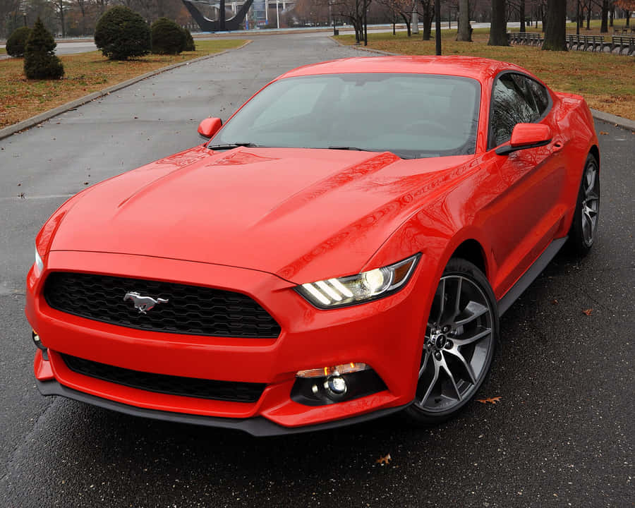 FordMustang Ecoboost 2500 x 2000 tapet